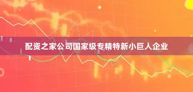 配资之家公司国家级专精特新小巨人企业
